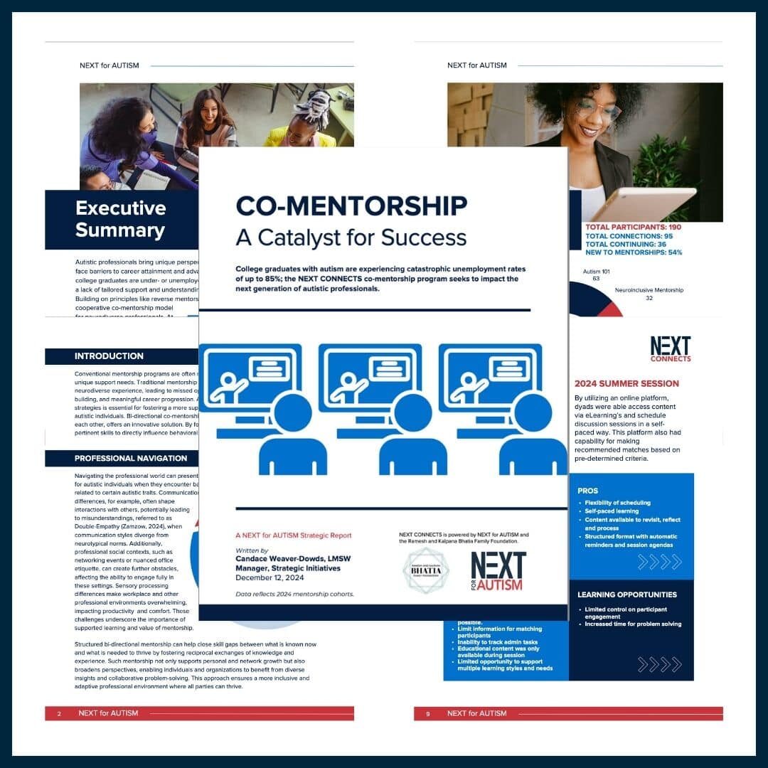 NEXT_connects_co-mentorship wp_image