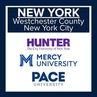 web_fellows_new york partners