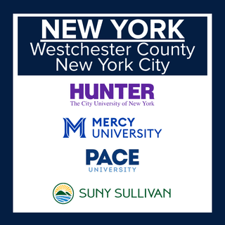 autism fellows new york